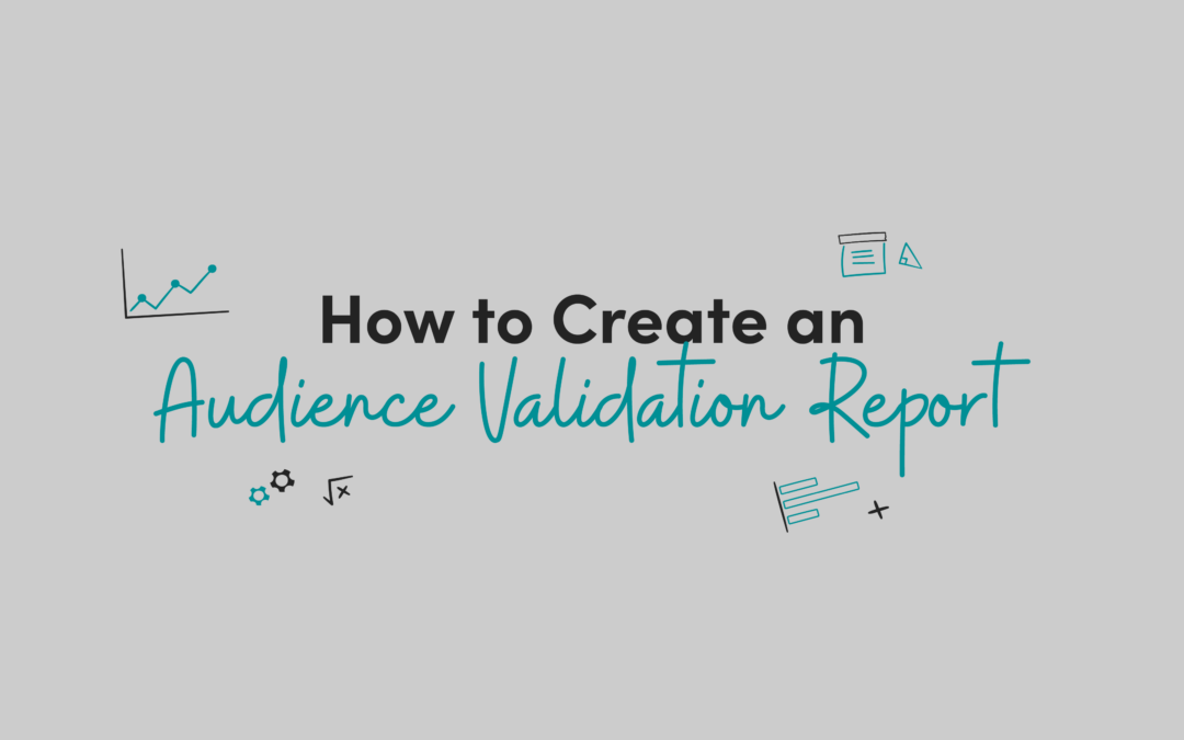 How to Create an Audience Validation Report